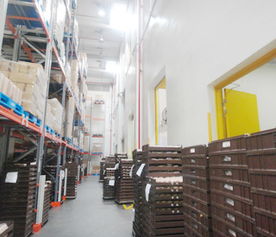 饮料厂 果汁厂 冷冻库 耐擦洗 防霉内墙涂料,饮料厂 果汁厂 冷冻库 耐擦洗 防霉内墙涂料生产厂家,饮料厂 果汁厂 冷冻库 耐擦洗 防霉内墙涂料价格