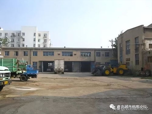 青岛染料厂的来龙去脉