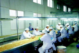山东 信贷工厂 让小微走上 流水线