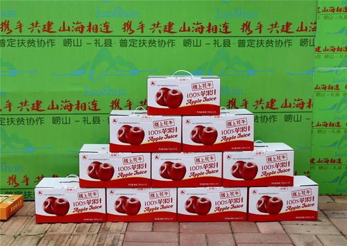 驻地干部现场 带货 ,扶贫协作农特产品走上啤酒节