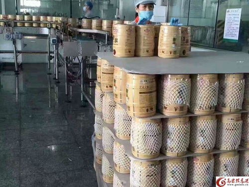 只有7天保质期的青岛啤酒一厂5l原浆 喝酒必备